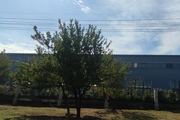 對于撫順鐵嶺沈陽彩鋼廠房的加工質(zhì)量檢測至關重要 對于撫順鐵嶺沈陽彩鋼廠房的加工質(zhì)量檢測至關重要